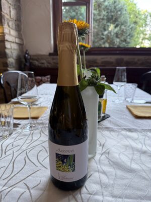 Auxerrois Sekt Brut Flaschengärung "Schnabel", Weinhaus Kiebel