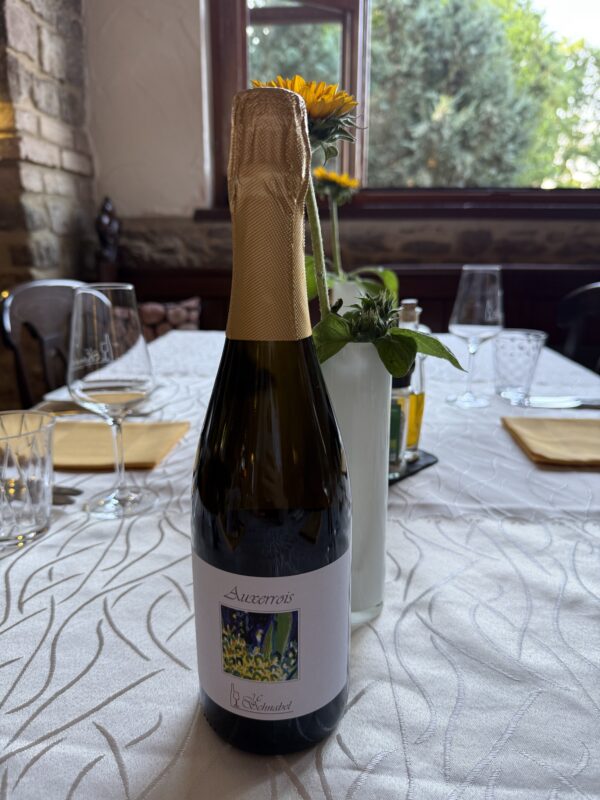 Auxerrois Sekt Brut Flaschengärung "Schnabel", Weinhaus Kiebel