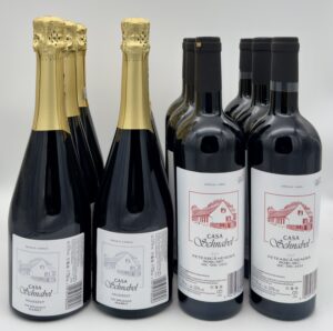 Weinpaket: Casa Schnabel Signature – 12 Flaschen Genuss