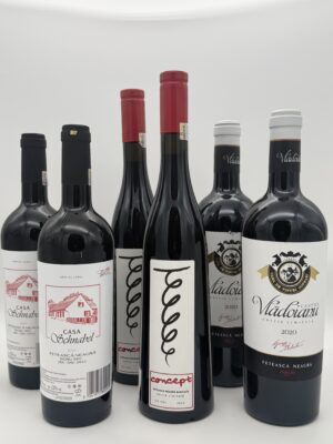 Rotweinreise durch Cotnari, Casa de Vinuri Cotnari