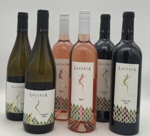 Kennenlernpaket LacertA