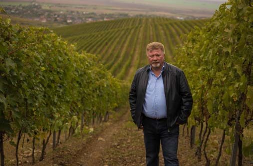 Winzer in den Weinbergen von Balla Géza in Miniș, Rumänien