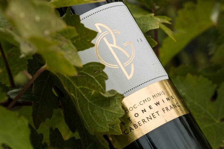 Flasche STONEWINE Cabernet Franc von Balla Géza zwischen Weinlaub