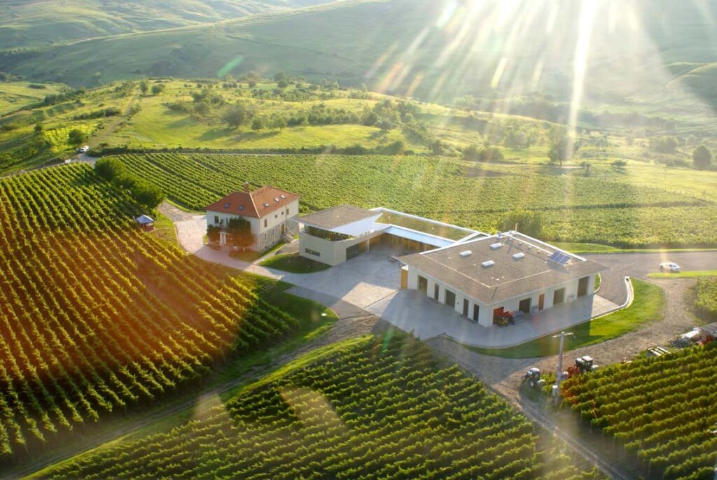 Weingut LacertA inmitten der Weinberge von Dealu Mare aus der Luft