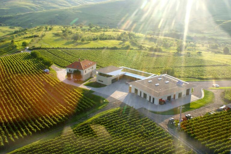 Weingut LacertA inmitten der Weinberge von Dealu Mare aus der Luft